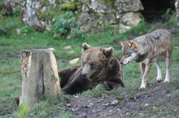 La cuivrerie de Lavours 